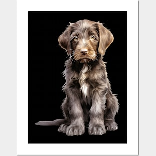 Puppy German Wirehaired Pointer Posters and Art